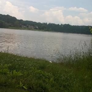 Meet your Posher, Angel